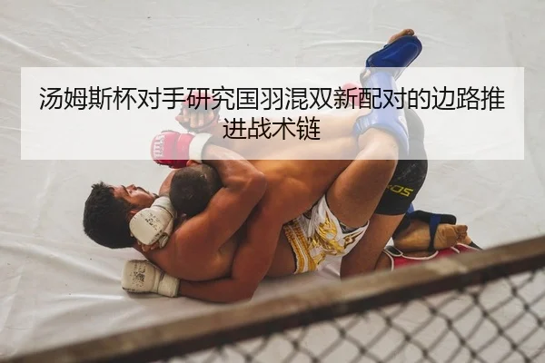 汤姆斯杯对手研究国羽混双新配对的边路推进战术链